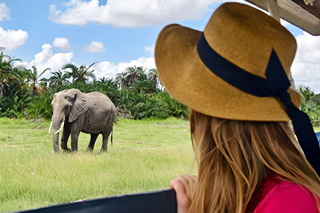 15 Day Egypt and Kenya Safari Tour: Pyramids to Wildlife