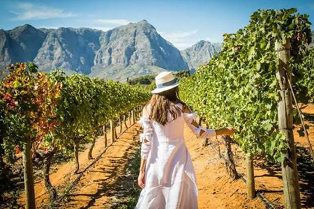 16 Day South Africa and Egypt Tour: Cape Town & Nile Cruise