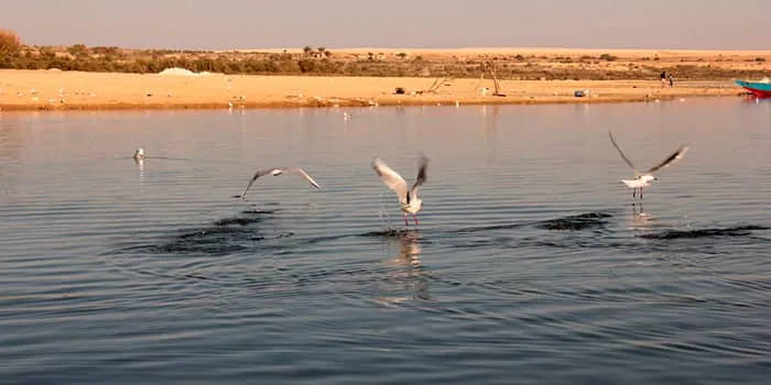 Alfayoum Egypt Things To Do.jpg