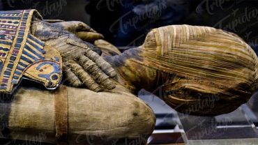 Ancient Egyptian mummies illustrate the civilization's beliefs in the afterlife, showcasing their elaborate burial practices and preservation techniques.