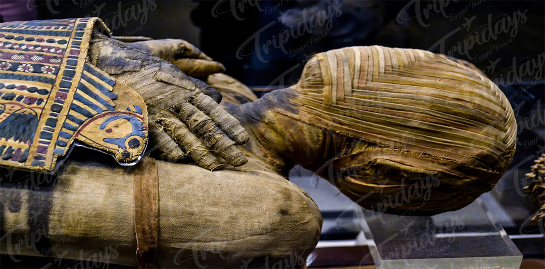 Ancient Egyptian mummies illustrate the civilization's beliefs in the afterlife, showcasing their elaborate burial practices and preservation techniques.