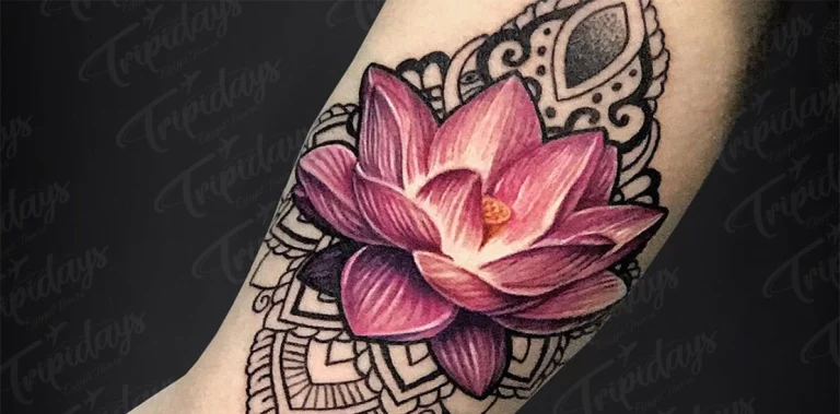 ancient lotus flower