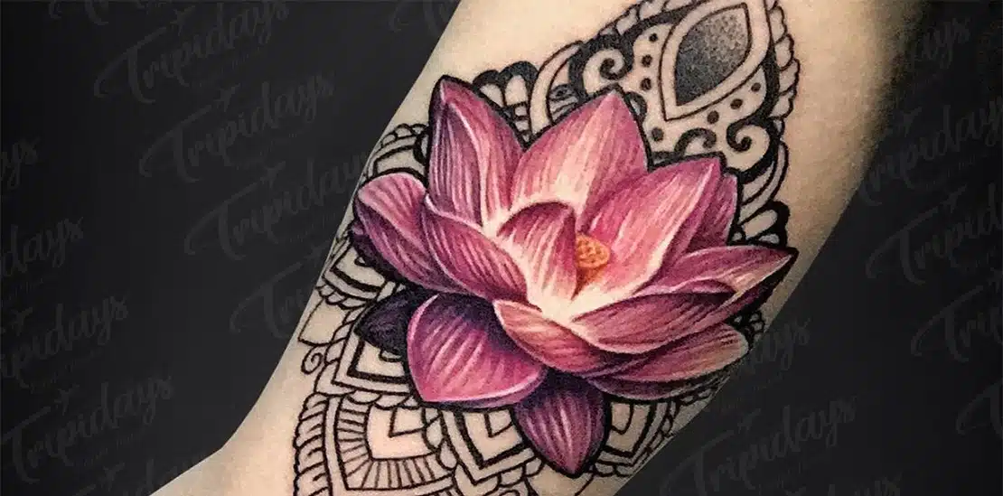 Ancient Lotus Flower