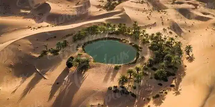 Bahariya Oasis