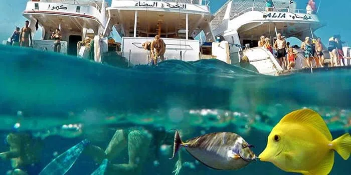 Best Time Of The Year To Visit Hurghada.jpg