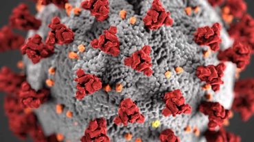 The Covid-19 outbreak, caused by the novel coronavirus, led to a global pandemic, impacting health, economies, and daily life worldwide.