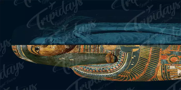 Egyptian Mummies Legacy