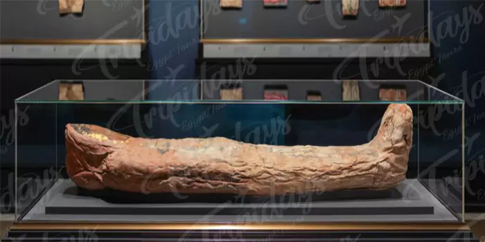 Egyptian Mummification Steps