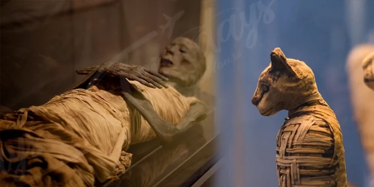 humans and animals mummified