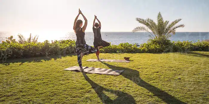 Relaxation And Wellness