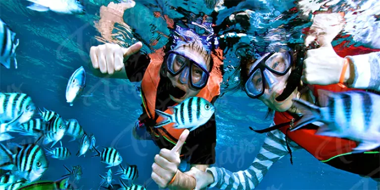 snorkeling and diving