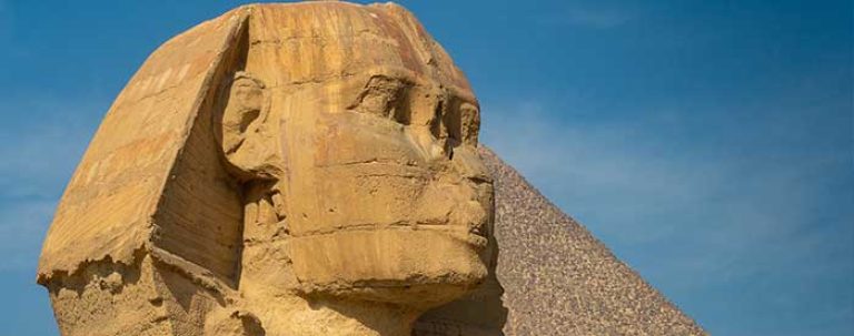 sphinx nose