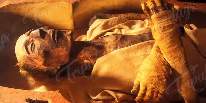 The Great Egyptian Pharaoh Ramesses Ii