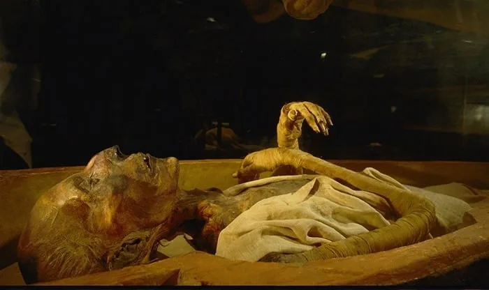 Where Was Ramses Iii Body Found.jpg