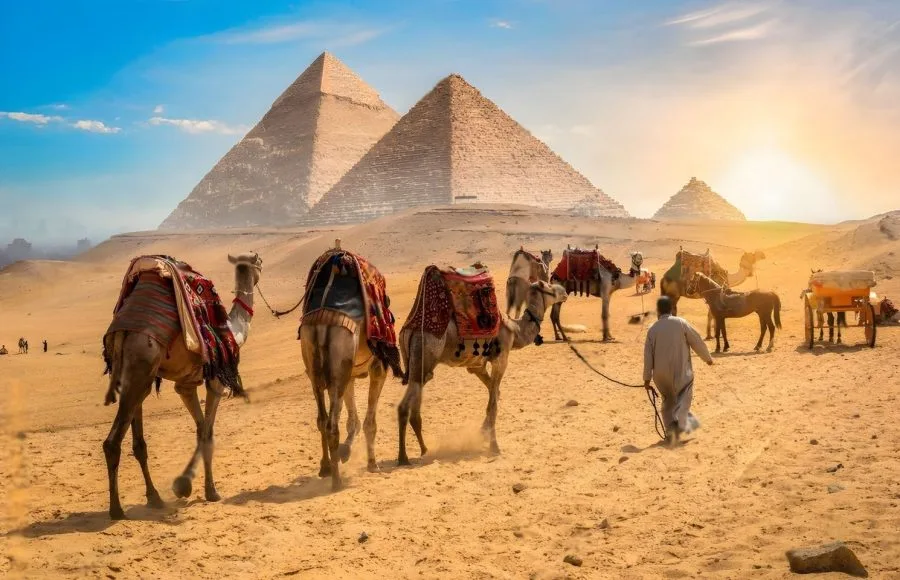 A man leads camels and a horsecart across the golden sand in front of the colossal All Giza Pyramids under a bright blue sky at sunset, with the Giza skyline visible in the distance.