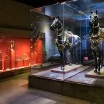 Aswan-Nubia-Museum-Nubian-Horses-Tripidays-Egypt-Tours