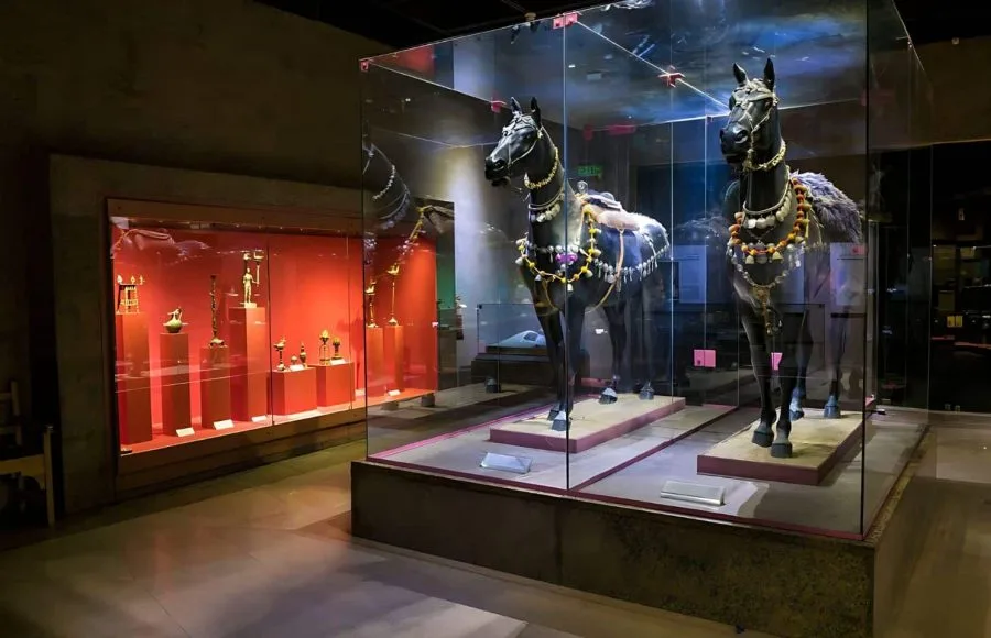 Aswan-Nubia-Museum-Nubian-Horses-Tripidays-Egypt-Tours