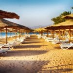 Rows of straw umbrellas and white lounge chairs on a sandy beach under a bright sky.