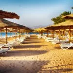 Rows of straw umbrellas and white lounge chairs on a sandy beach under a bright sky.