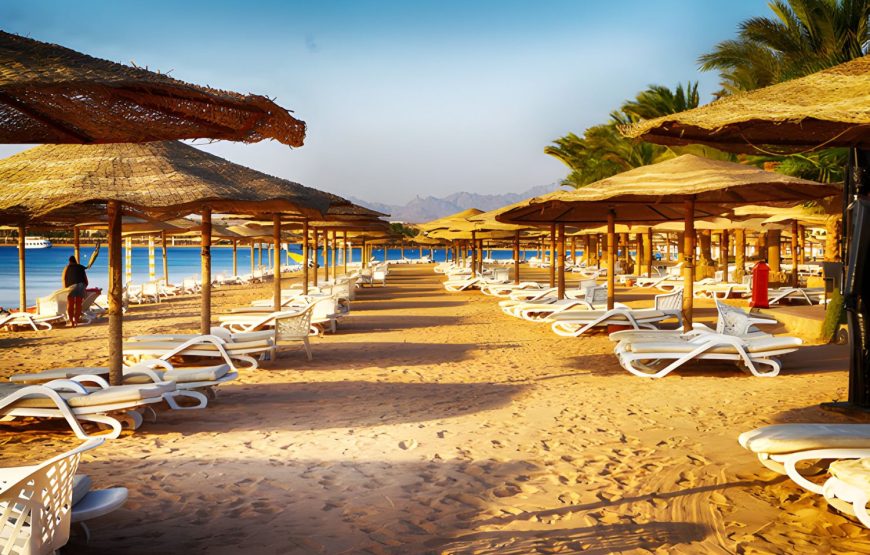 7 Days Cairo and Hurghada Vacation For Families