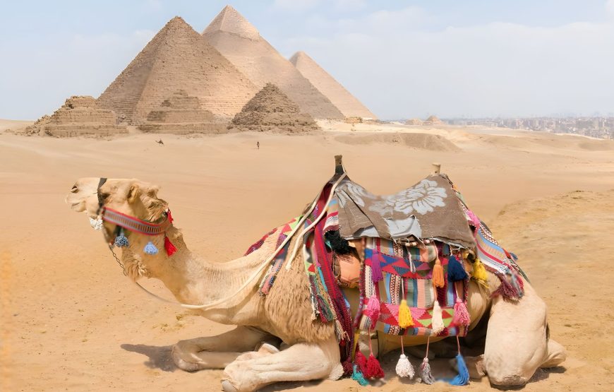 6 Days Cairo & Hurghada Holiday Package