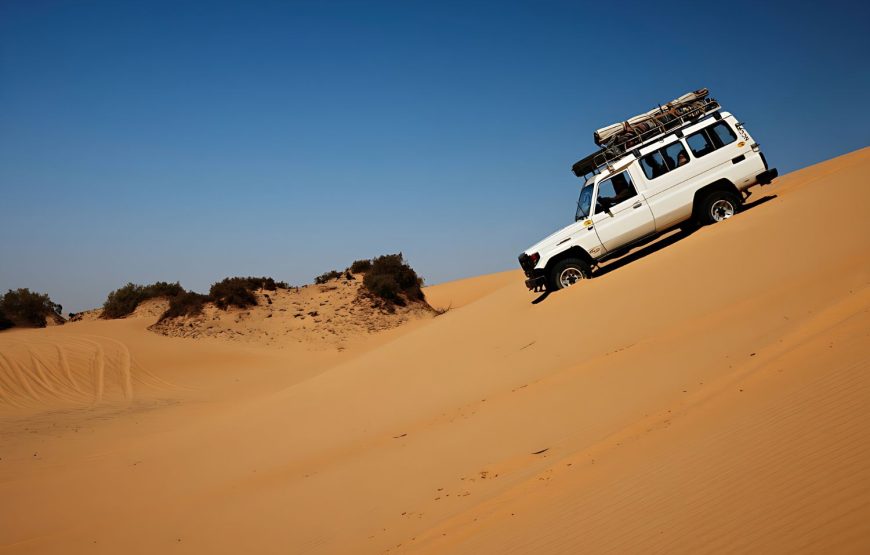 6 Days Adventure Cairo, Alexandria & Bahariya Oasis Tour