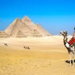 Tourist riding a camel at Great Pyramids of Giza.