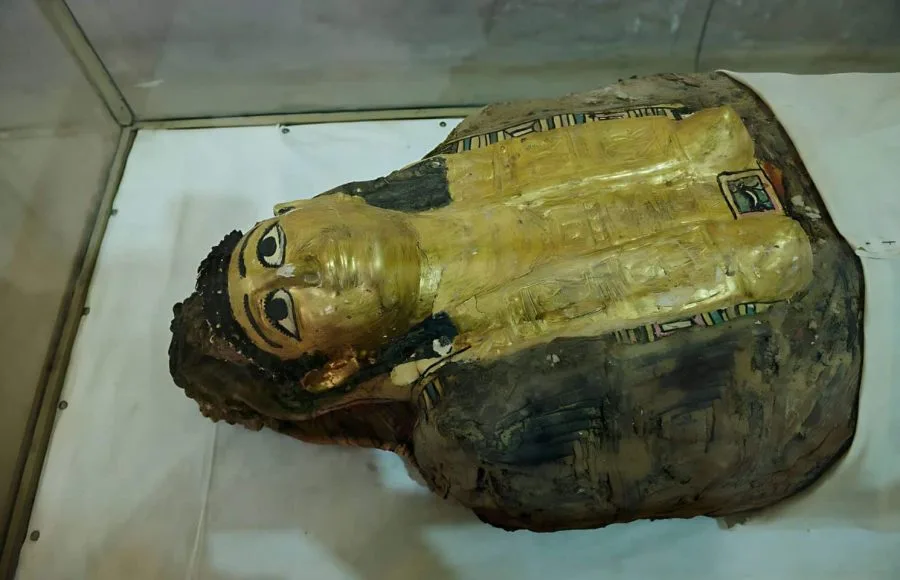 A detailed close-up of a preserved Golden Mummy on display in a glass case at the Museum of Bahariya Oasis, showing the gilded face mask and painted wrappings.