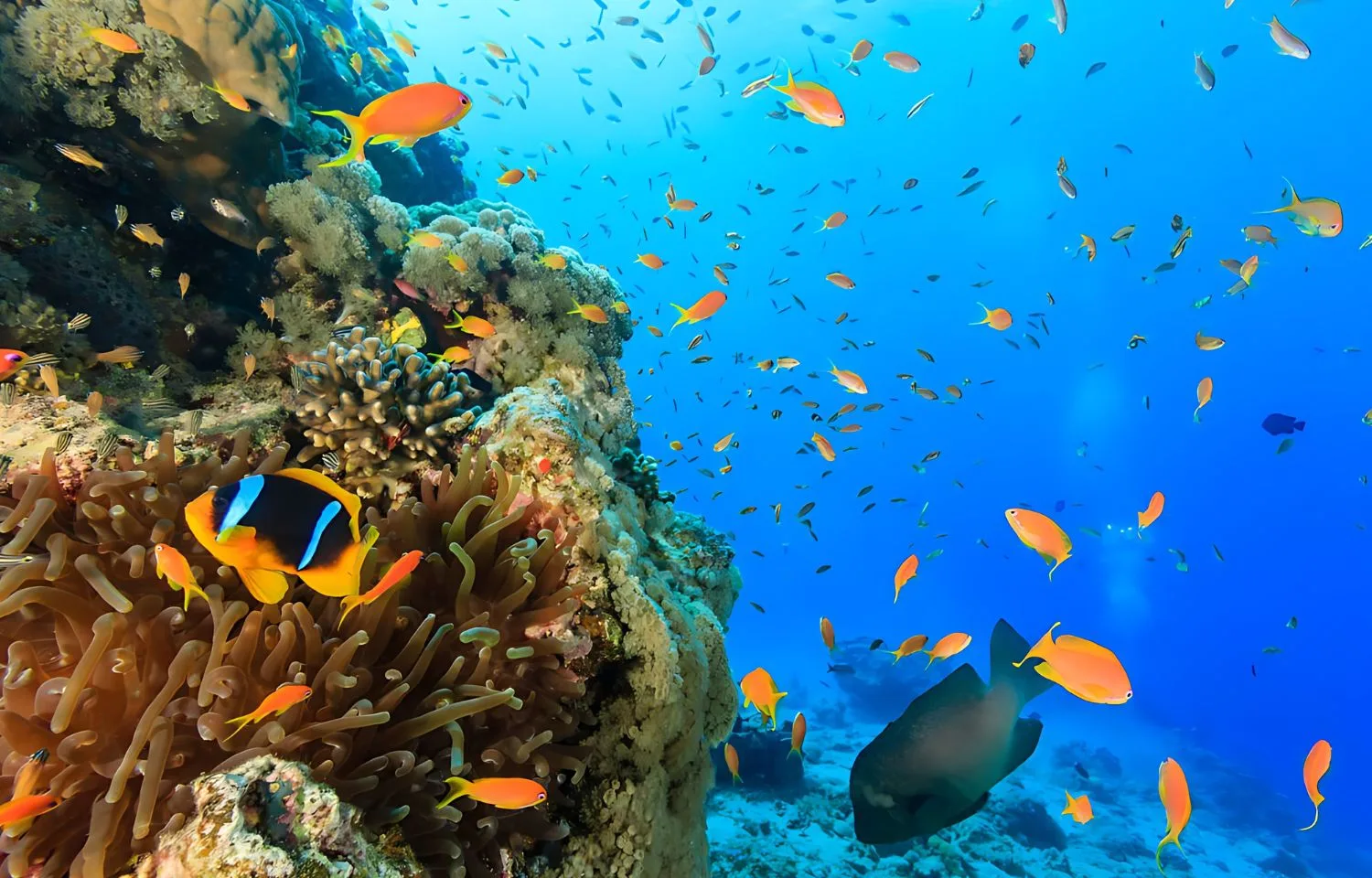 9 Days Budget Cairo Aswan Luxor & Hurghada Trip