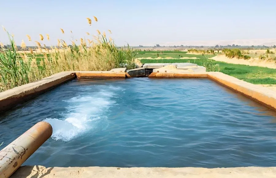A man-made pool of bubbling turquoise water, acting as a Natural Hot spring in the Bahariya Oasis, surrounded by lush green reeds and fields.