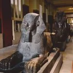 Sphinx-at-Egyptian-Museum-Tripidays-Egypt-Tours