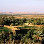 A panoramic view of The Oasis of Bahariya, showing lush green agricultural fields and date palm groves surrounded by the flat, arid desert landscape with a low ridge of hills in the background.