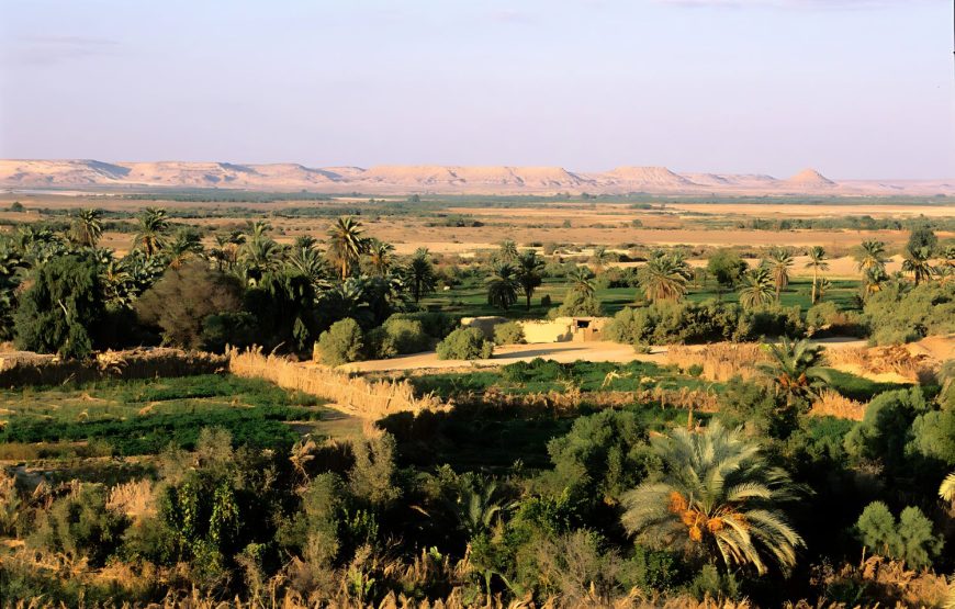 6 Days Adventure Cairo, Alexandria & Bahariya Oasis Tour