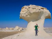 6 Days Adventure Cairo, Alexandria & Bahariya Oasis Tour