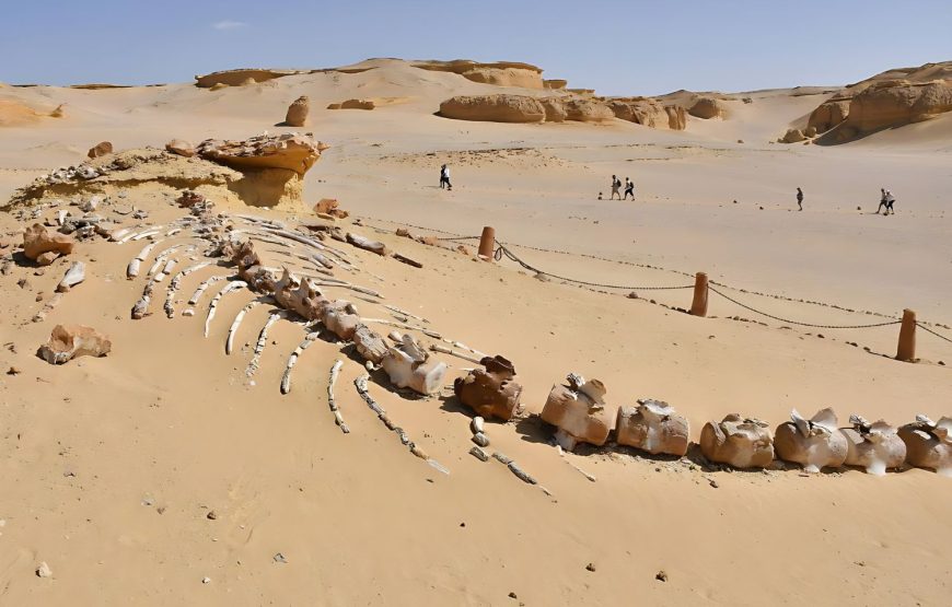 5 Days Cairo and Fayoum Tour Package