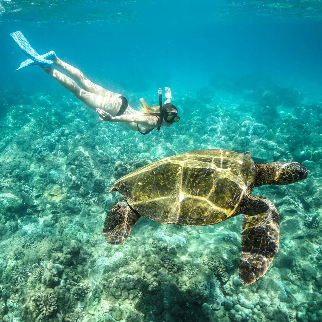 Marsa Alam Day Tours