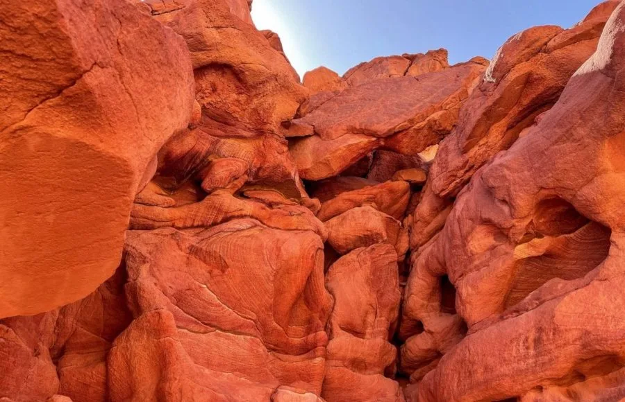 The intricate red and orange sandstone rock formations in a desert canyon.