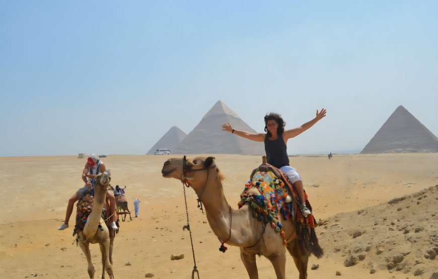 8 Days Cairo Aswan Abu Simbel Luxor & Alexandria Tour