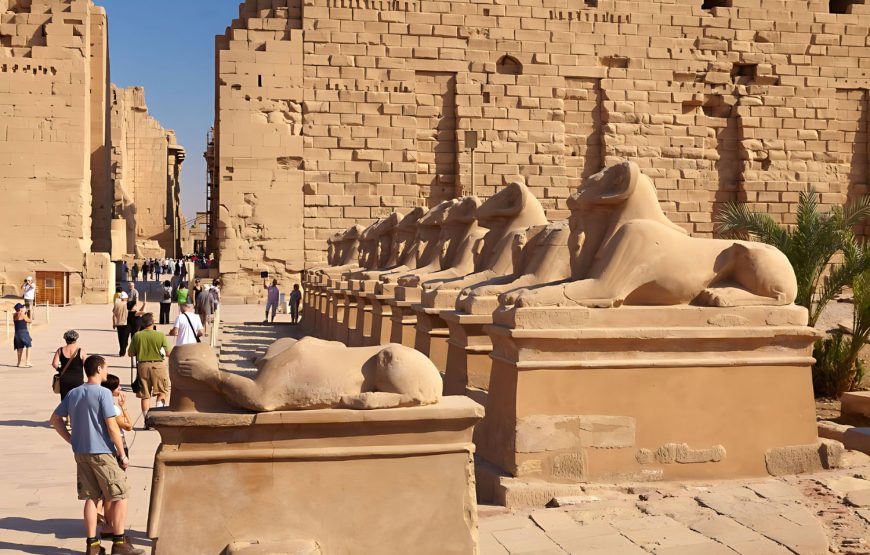 8 Days All Inclusive Cairo & Nile Cruise Luxor to Aswan