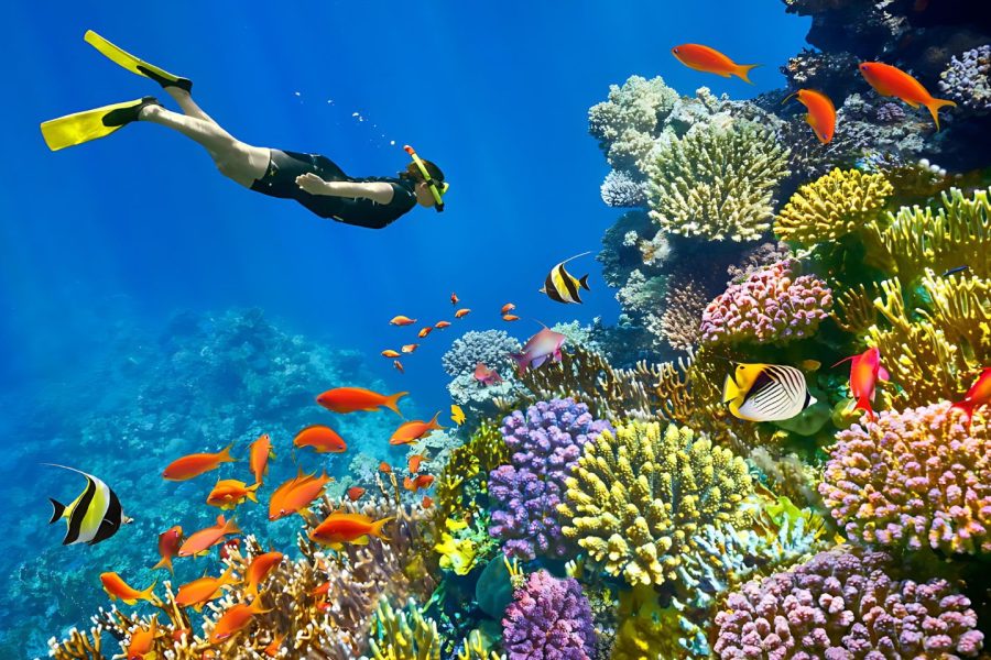 7 Days Cairo And Sharm El Sheikh Tour Package