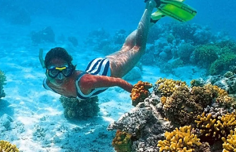 A person snorkeling while Sharm Diving Red Sea, surrounded by vibrant yellow and brown coral reefs and clear blue water.