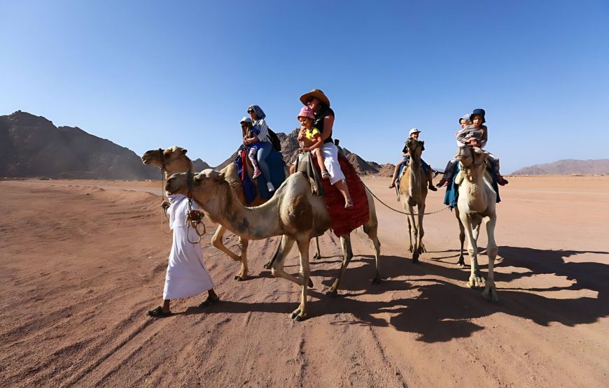 7 Days Cairo and Sharm El Sheikh Tour Package