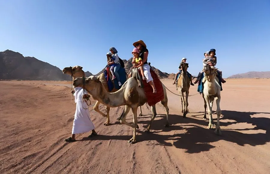 A group of tourists Riding Camels in Desert with a local guide in Sharm El-sheikh Egypt, showcasing the vast, flat desert landscape and distant rocky mountains.