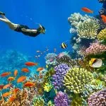 Snorkeling-Hurghada-Red-Sea-Blue-Deep-Tripidays-Egypt-TOurs