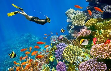 10 Days Cairo Aswan Abu Simbel Luxor & Hurghada Tour