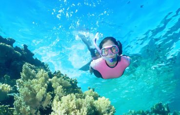 8 Day Cairo, Alexandria, and Sharm El Sheikh Tour Package