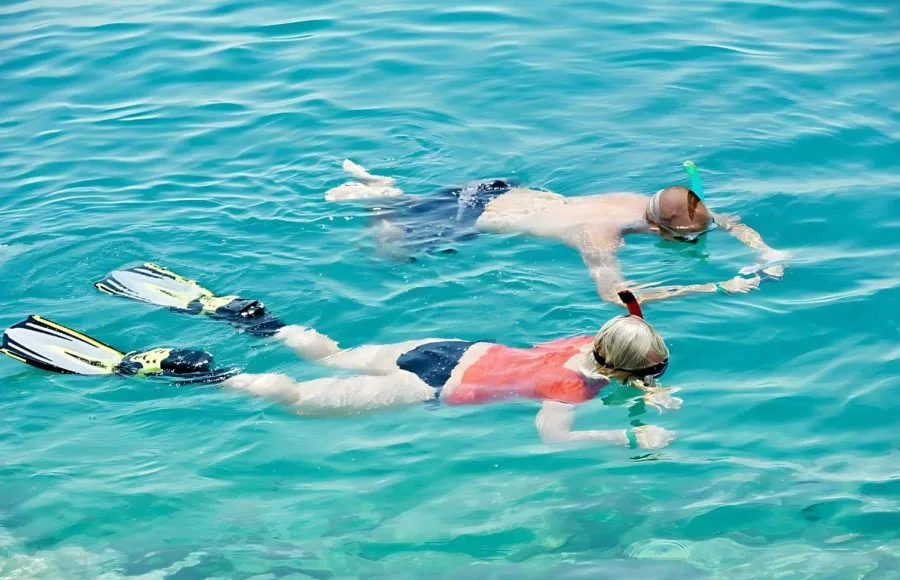 A couple Snorkeling near the shore in clear, turquoise Red Sea waters, highlighting the vibrant marine life of the beach.