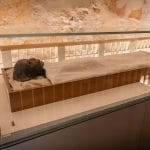 A mummy displayed in a Glass coffin inside a brightly lit room at the Valley Of The Kings exhibit in Luxor.