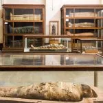cairo-egypt-may-25-2019-interior-of-the-museum-of-egyptian-antiquities-egyptian-museum