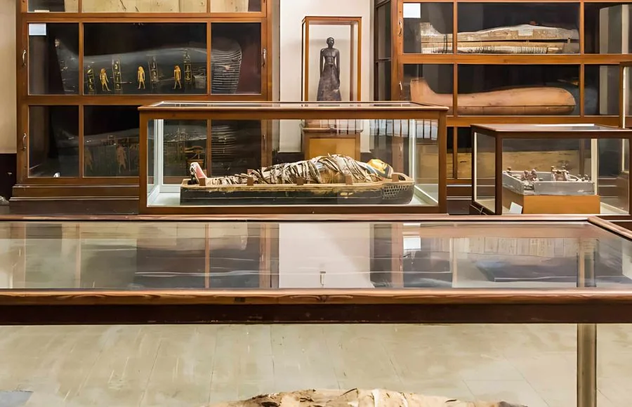 cairo-egypt-may-25-2019-interior-of-the-museum-of-egyptian-antiquities-egyptian-museum